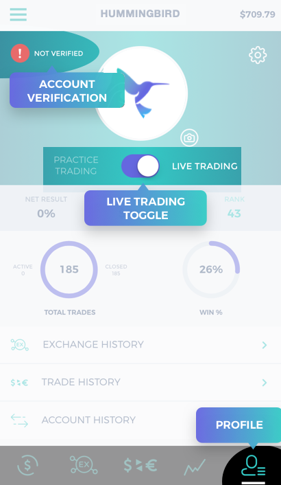 Hummingbird Trading - Account verification