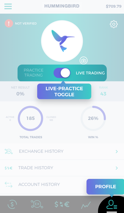Trade Hummingbird Live and Practice Account